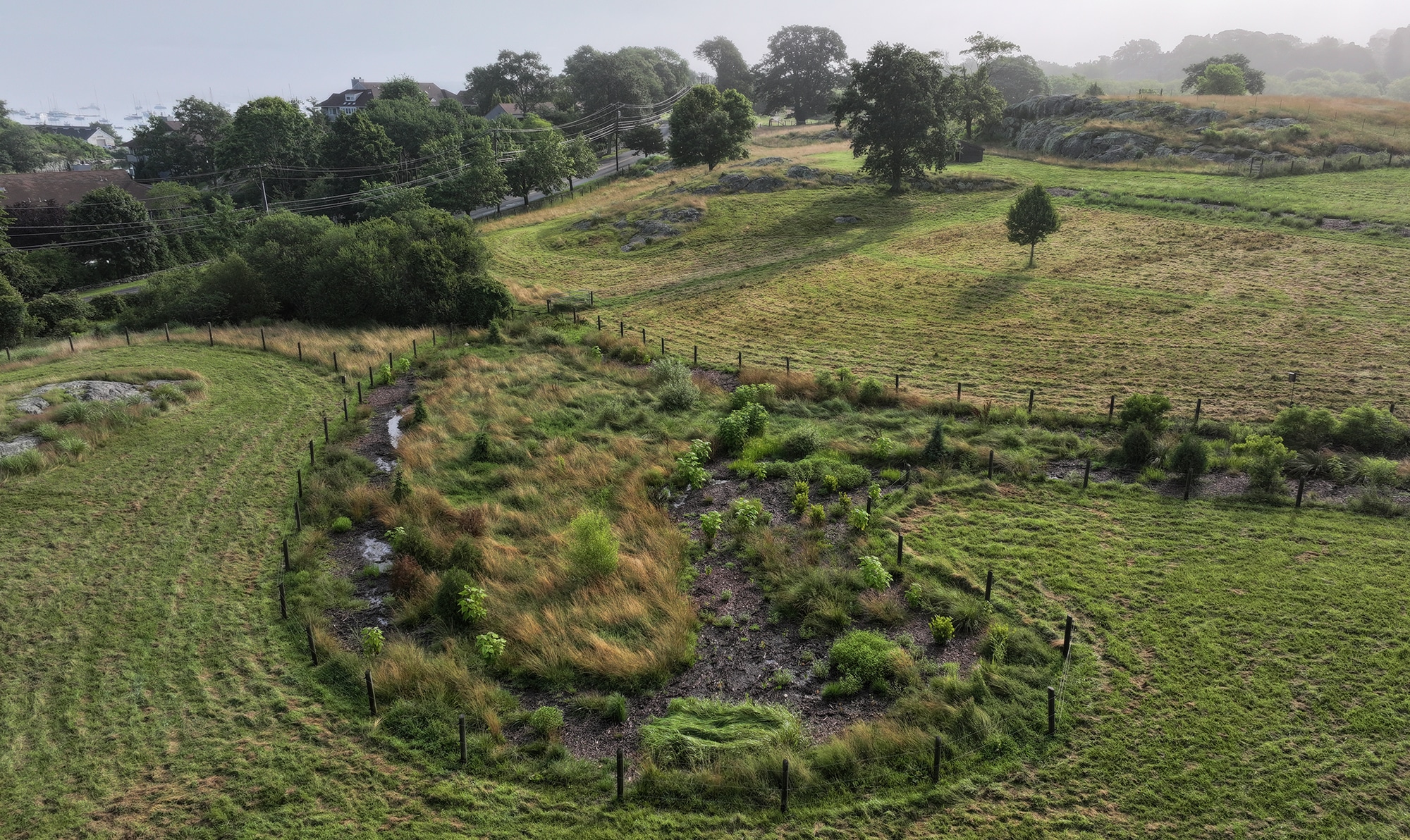 Ocean Hour Farm: Permaculture Design on 43 Acres