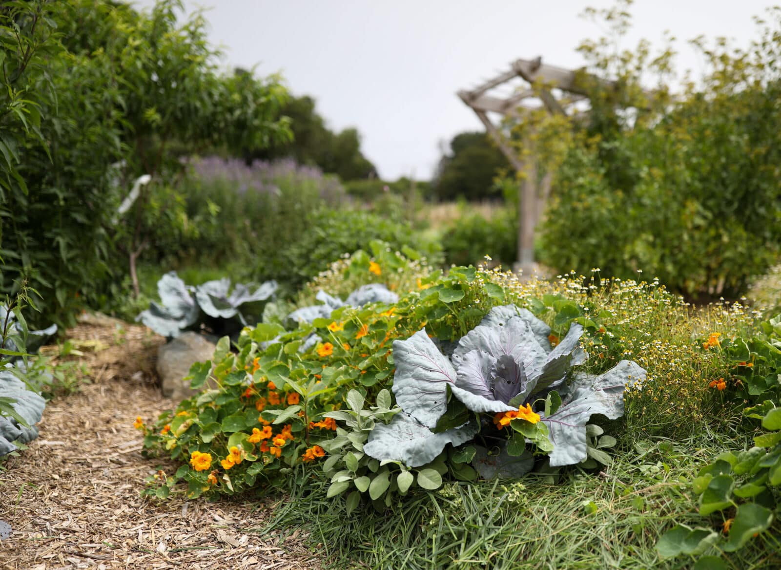 Photo credit: Maaike Bernstrom