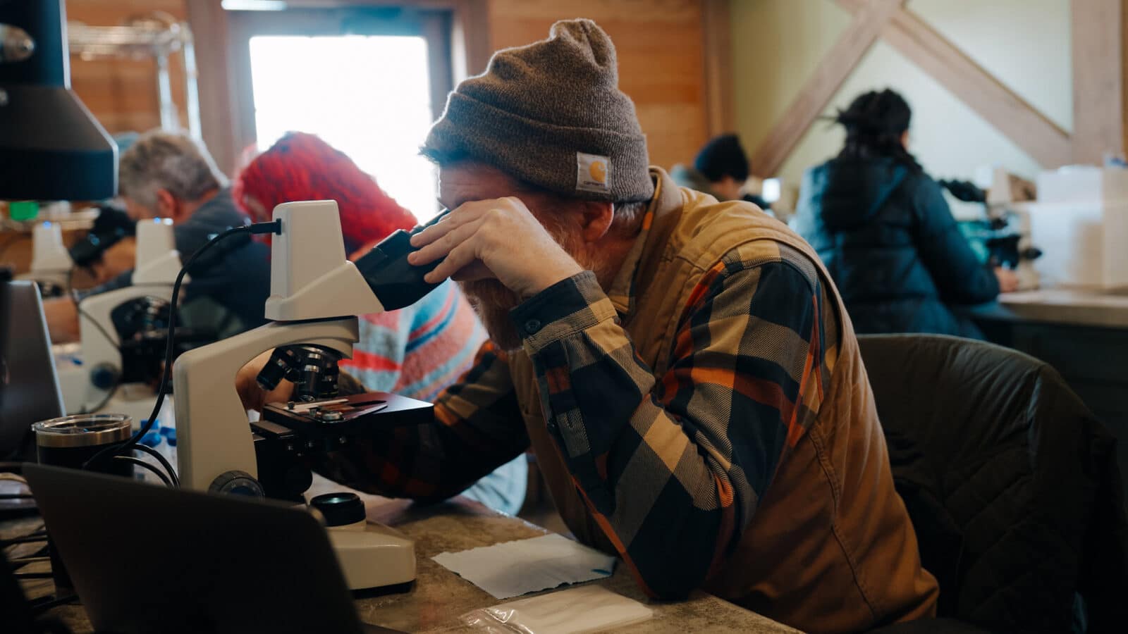 soil microscopy workshop with NOFA CT & MA