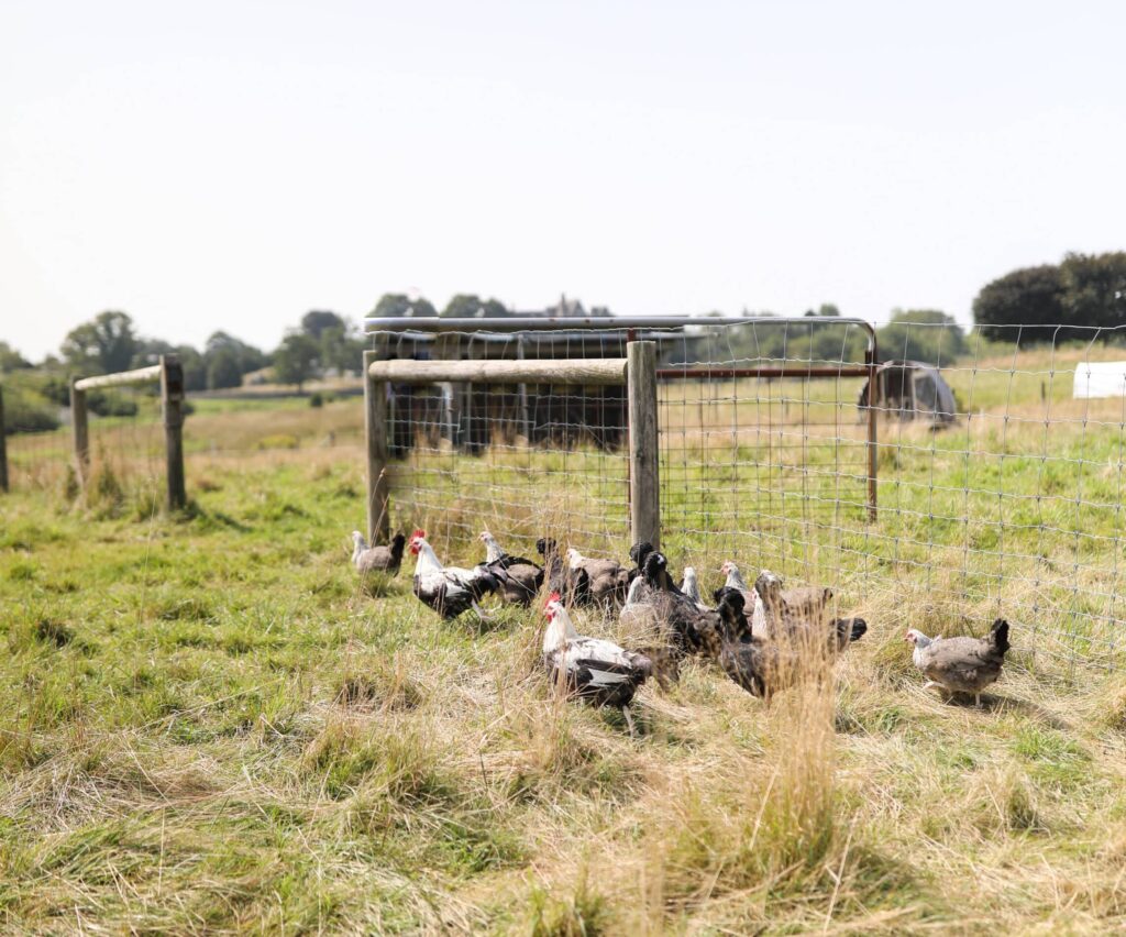 2025 Regenerative Land Care Tours