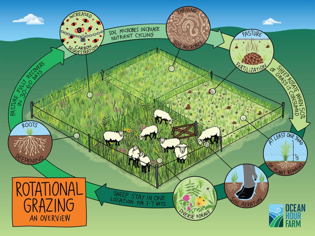 Rotational Grazing Graphic