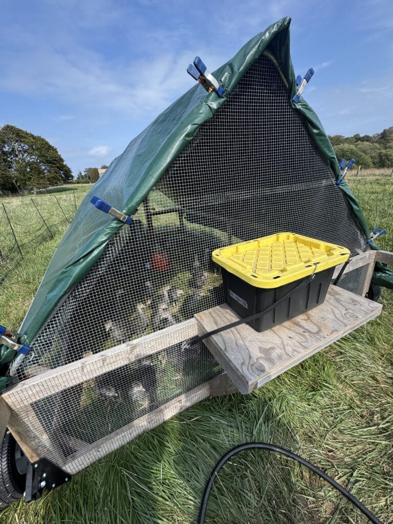 Water system for chicken tractor.