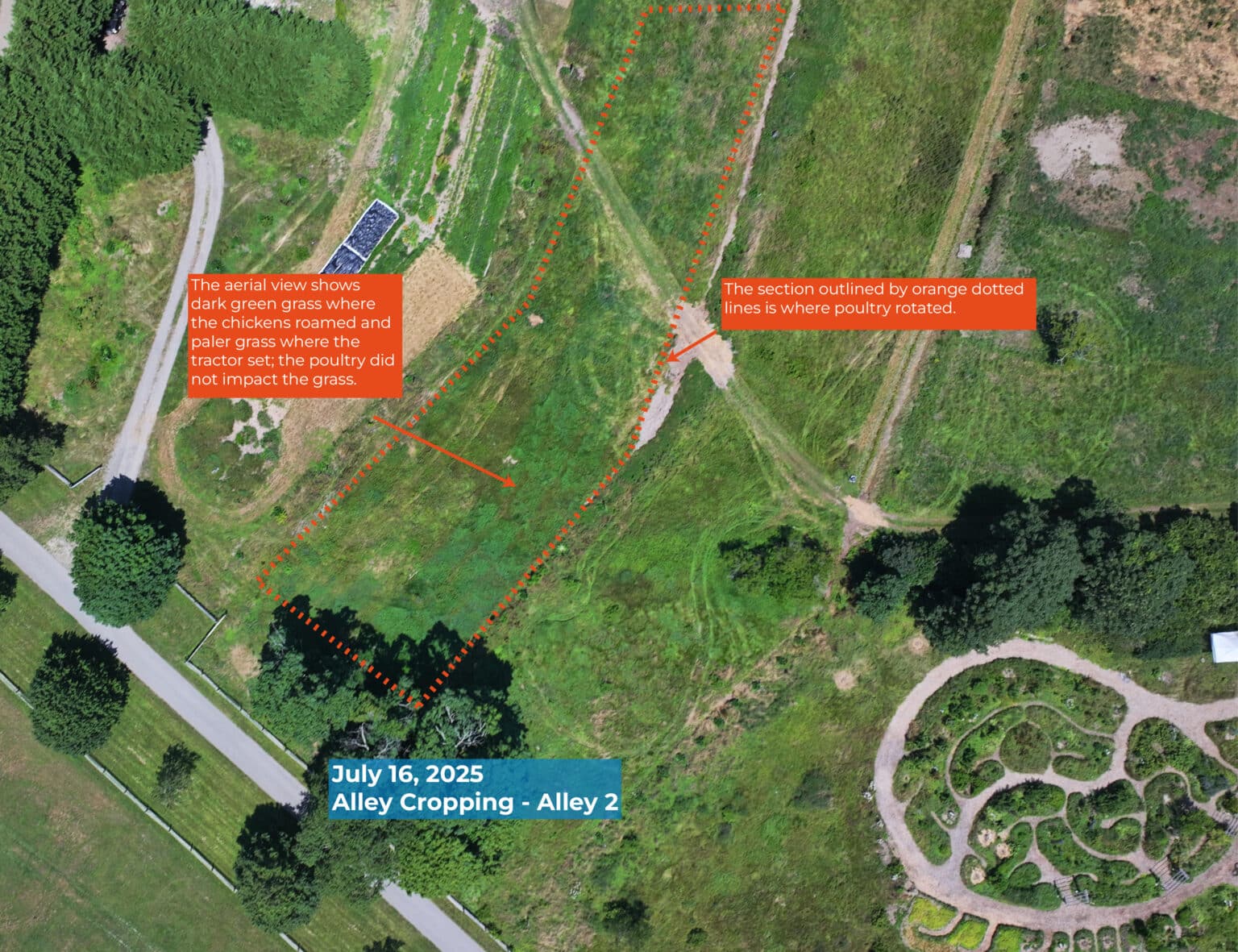 Greener grasses due to the presence of poultry infographic.