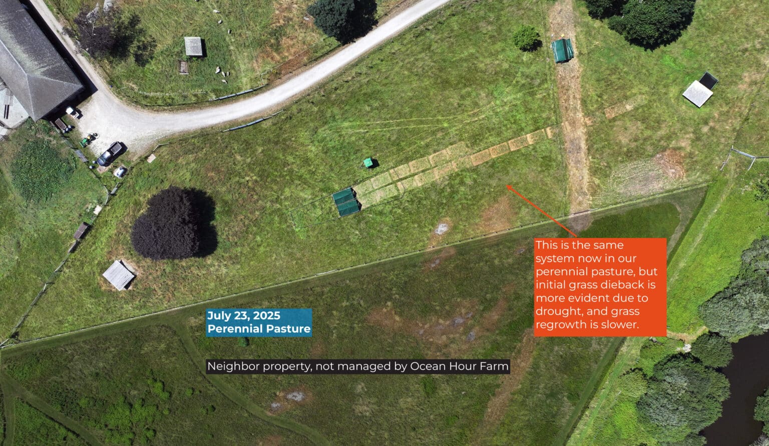 Greener grasses due to the presence of poultry infographic.