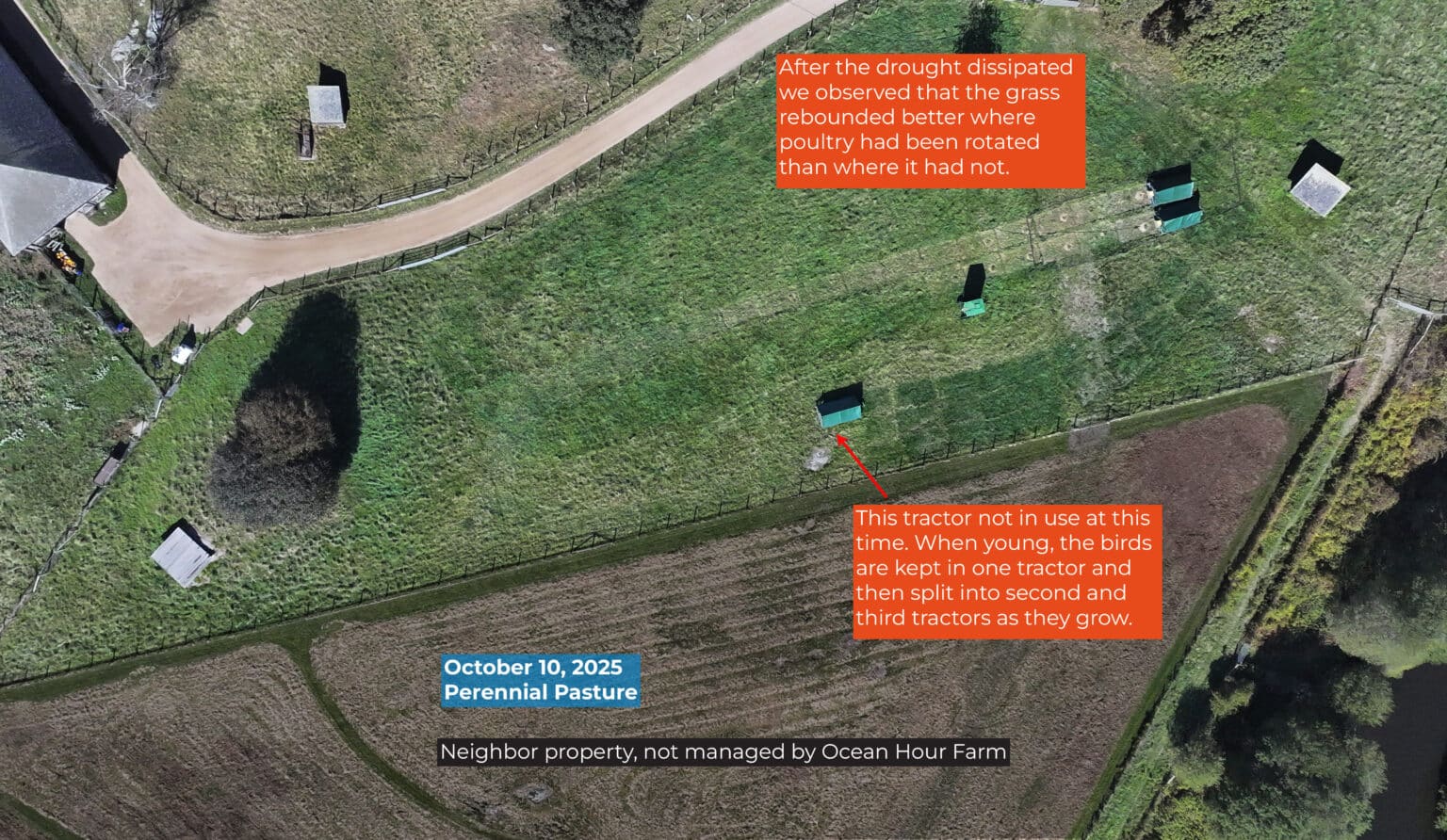 Greener grasses due to the presence of poultry infographic.