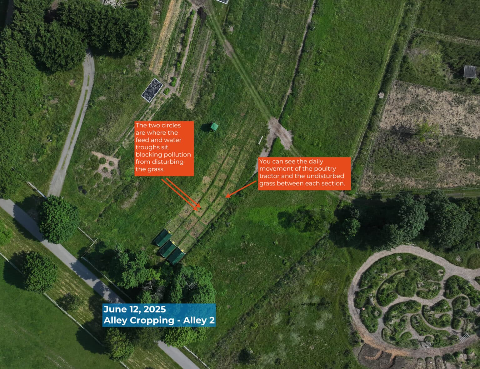 Greener grasses due to the presence of poultry infographic.