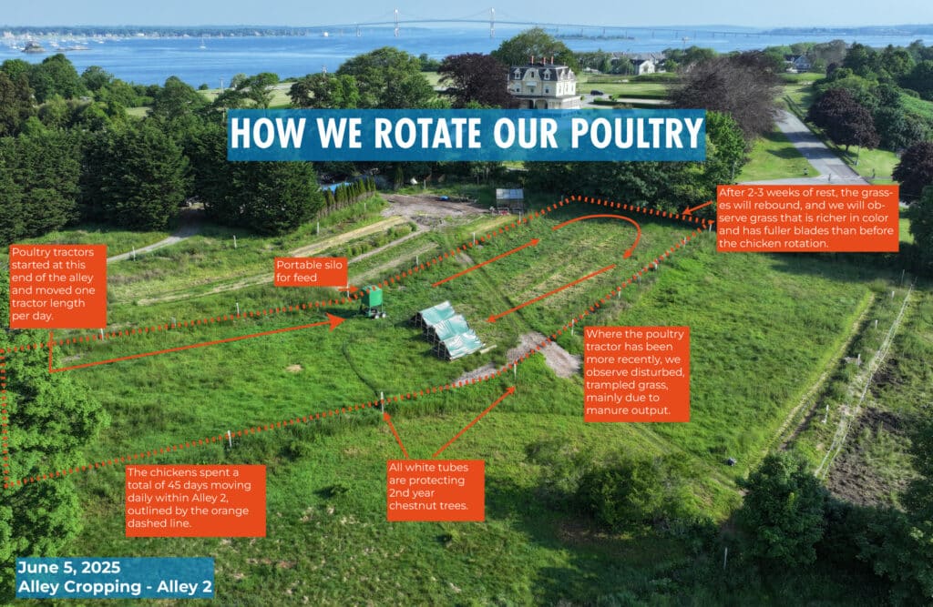 How we rotate our poultry infographic.