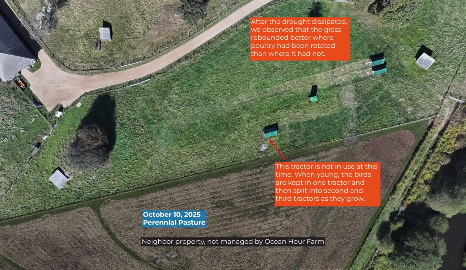 After the drought dissipated, we observed that the grass rebounded better where poultry had been rotated than where it had not. In this picture, the third tractor off on its own is not in use.