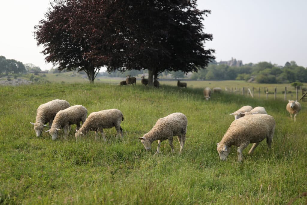 Grazing School Workshop with Sarah Flack